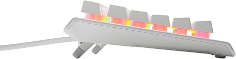 SteelSeries Apex 3 TKL RGB Gaming Keyboard US Layout -White