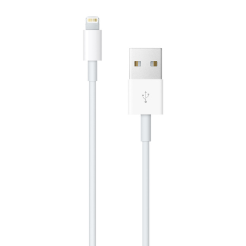 Apple Lightning to USB Cable (1 m)