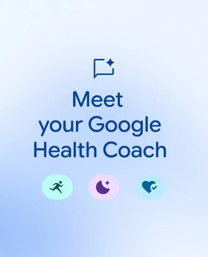 Google Fitbit Air Fitness Tracker || Bluetooth 5.0 - Berry