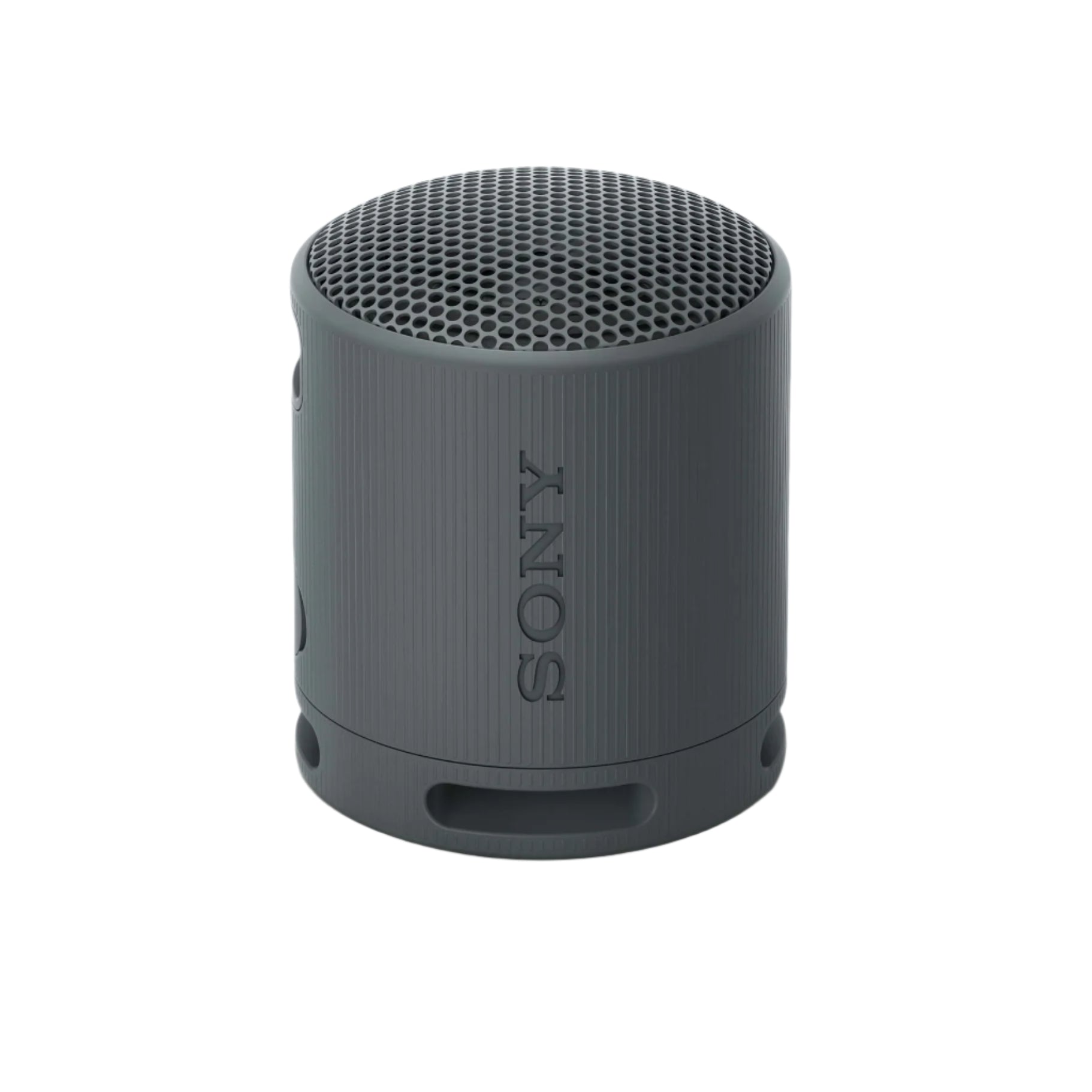 Sony SRS-XB100 Portable Wireless Speaker