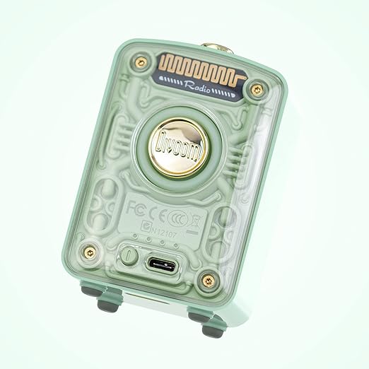 Divoom Fairy-OK Cute Speaker with Microphone, Green