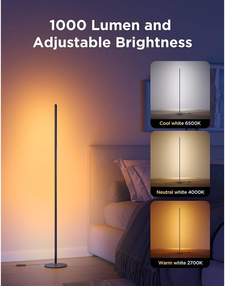 Govee Floor Lamp Lite