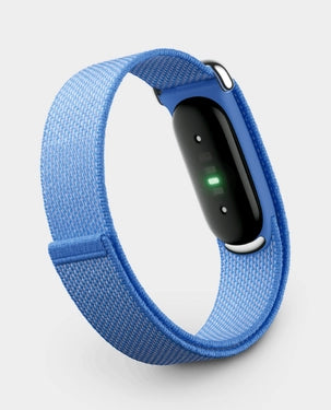 Google Fitbit Air Fitness Tracker | Lavender