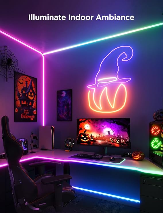Govee Neon Rope Light 2