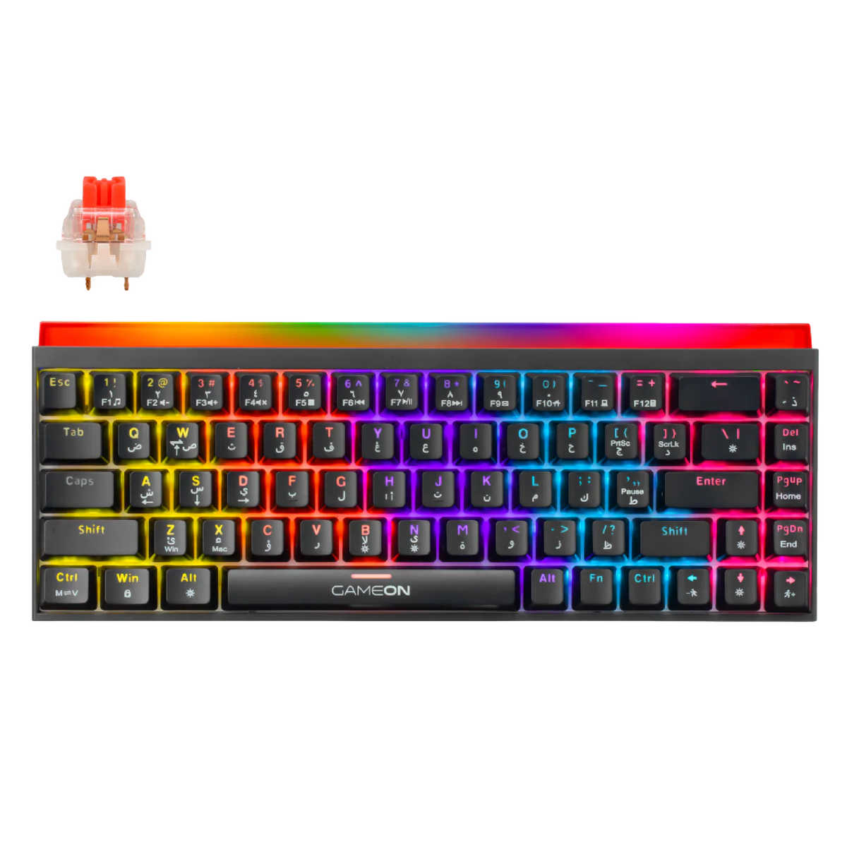 GAMEON PRIMEX Series GO-MK260-RS 60% RGB Mechanical Wired Gaming Keybo ...