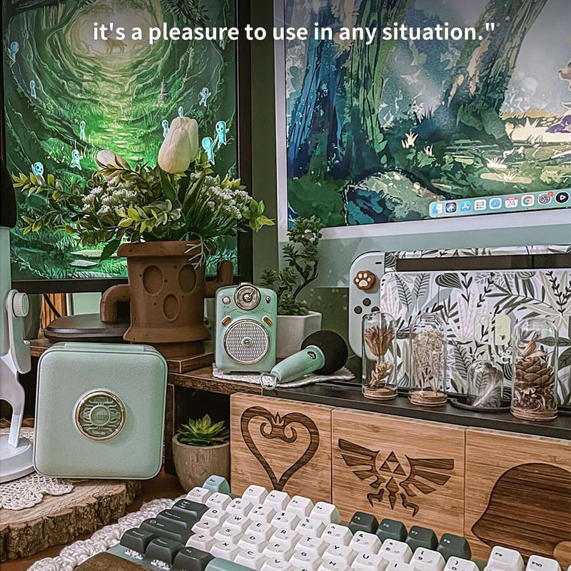 Divoom Fairy-OK Cute Speaker with Microphone, Green